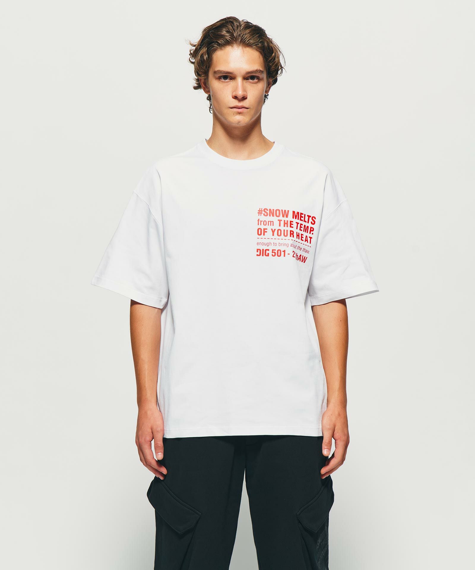 DIG SIGNATURE LOGO T-SHIRT｛CT-02｝【[02]WHITE】 | DIG公式